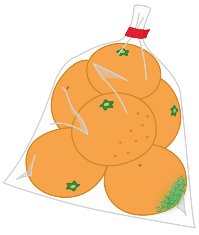 青かびが発生したみかん